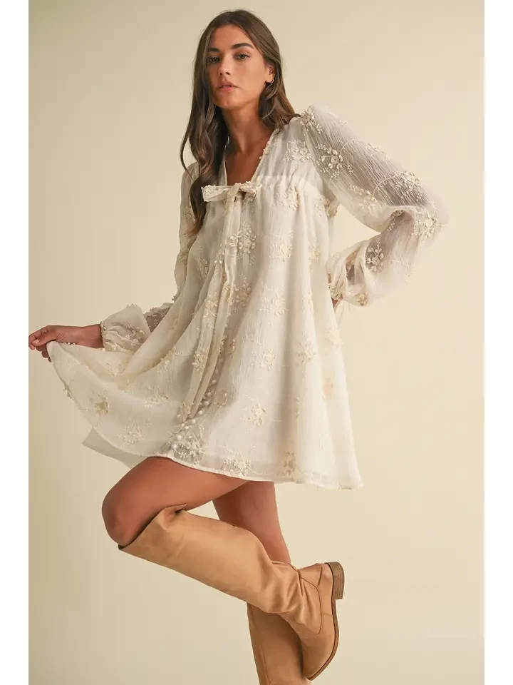 Embroidered Long Sleeve Mini Dress