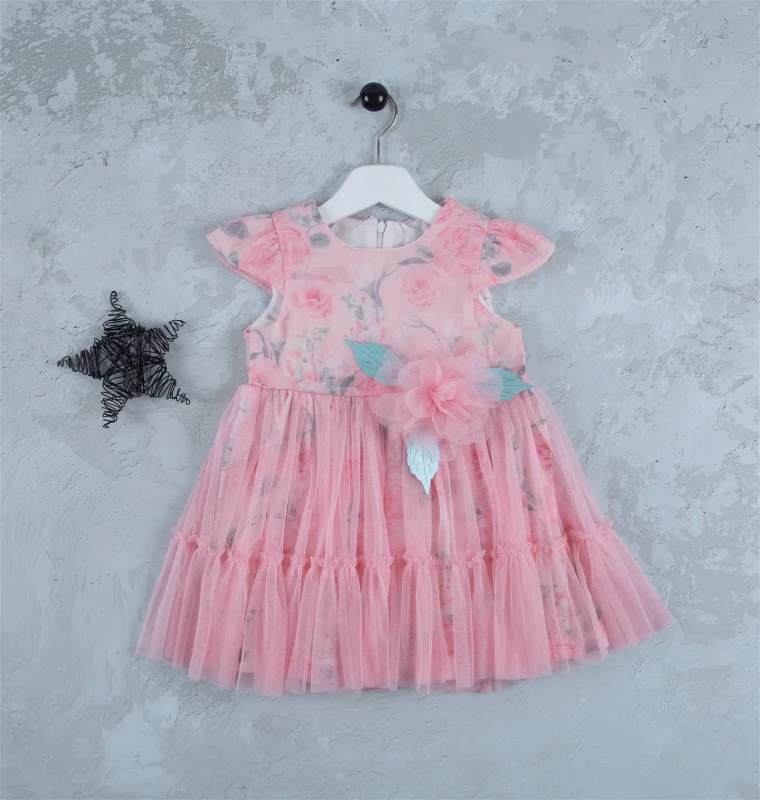 Girls Rose Print Net Party Dress (3-6Y)