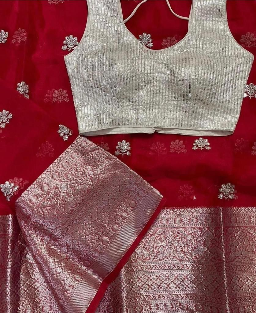 SOFT Nylon Orgenza Jacquard Multi Squence Full Worked Saree